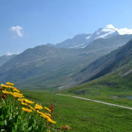 Locazione Turistica Angelica + Orsolina * Sparone
